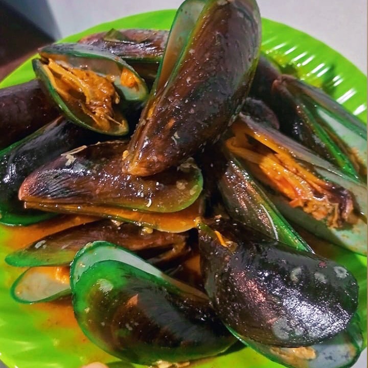 Kerang Hijau
